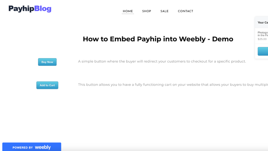 How to Add Payhip to a Website